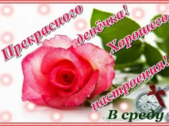 Поздравление со средой. Открытка с пожеланием