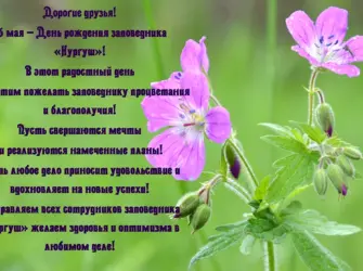Поздравление заповеднику. Открытка с пожеланием