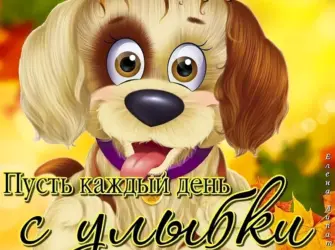 Поздравления без повода прикольные. Открытка с поздравлением
