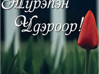 Поздравления с днём рождения на бурятском языке. Открытка с пожеланием