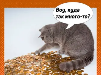 Поздравляю с первой зарплатой. Открытка с поздравлением