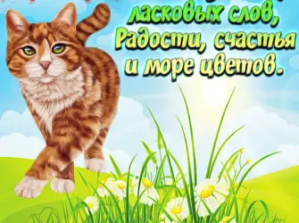 Пожелания. Открытка с поздравлением