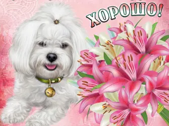 Пожелания открытка