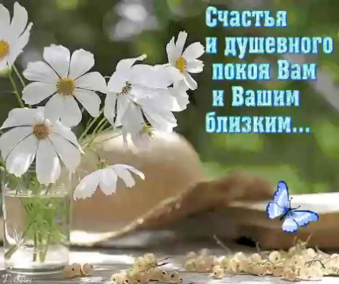 Пожелания добра и спокойствия. Открытка с поздравлением