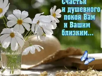Пожелания добра и спокойствия. Открытка с пожеланием