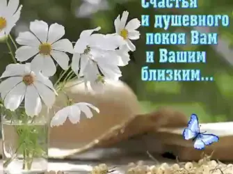 Пожелания добра и спокойствия. Открытка с пожеланием