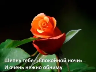 Пожелания доброй ночи. Открытка с поздравлением