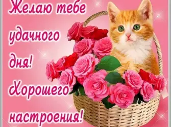 Пожелания хорошего дня подруге открытка
