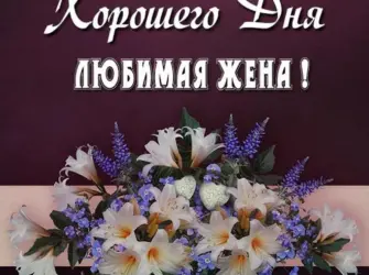 Пожелания хорошего дня жене. Поздравление на праздник