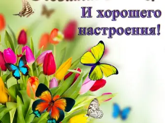 Пожелания хорошего настроения. Поздравление на праздник