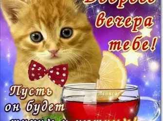 Пожелания хорошего вечера. Открытка с пожеланием