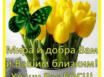 Пожелания мира и добра. Открытка с поздравлением