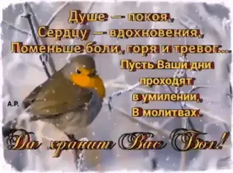 Пожелания мира и спокойствия. Открытка с пожеланием