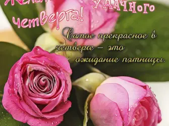 Пожелания на каждый день. Открытка с пожеланием