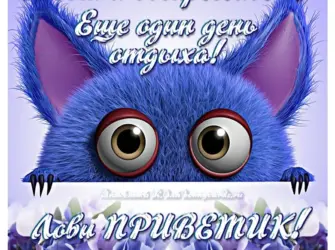 Пожелания на воскресенье. Прикольная открытка