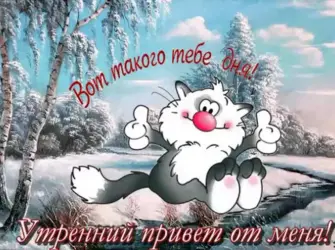 Пожелания с добрым утром зимние прикольные. Прикольная открытка