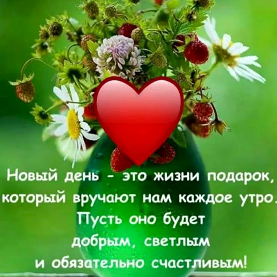 Пожелания счастья и добра с утра. Открытка с поздравлением
