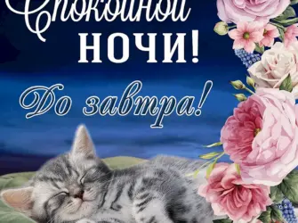 Пожелания спокойной ночи открытка