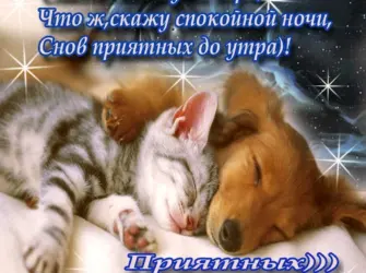 Пожелания спокойной ночи. Открытка с пожеланием