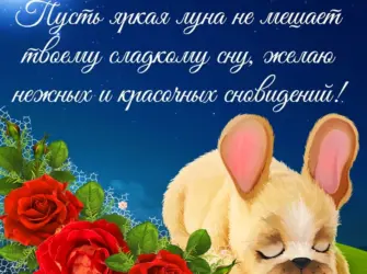 Пожелания спокойной ночи. Открытка с пожеланием