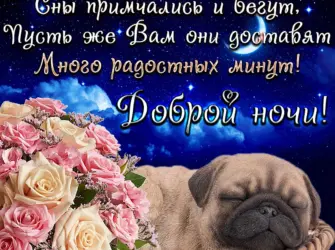 Пожелания спокойной ночи. Открытка с пожеланием