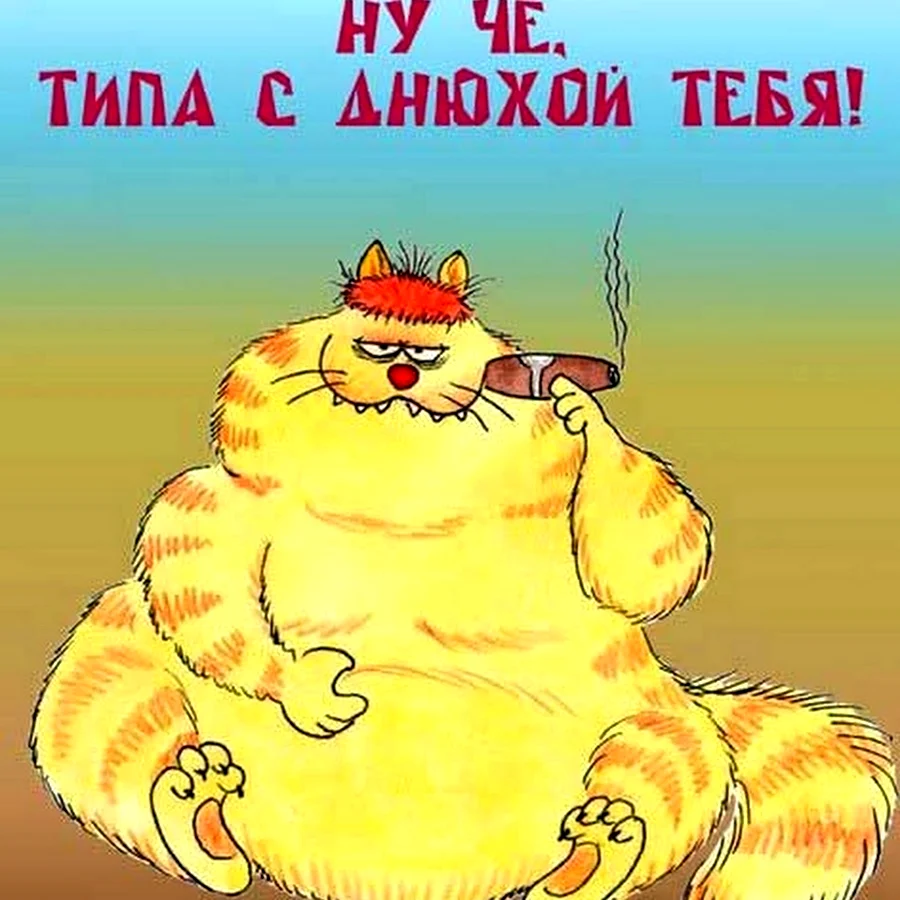 Прикольные открытки с днем рождения. Открытка с поздравлением