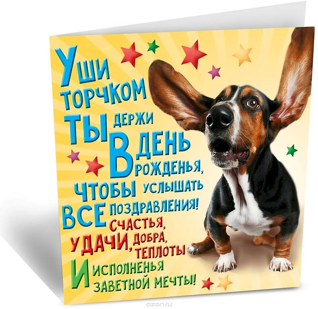 Прикольные поздравленичс днём рождения. Открытка с поздравлением