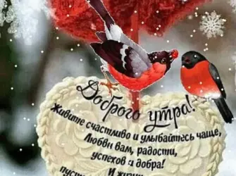 Прикольные поздравления с добрым утром зимние. Открытка с пожеланием