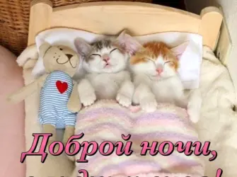 Прикольные пожелания спокойной ночи. Открытка с пожеланием