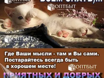 Прикольные пожелания спокойной ночи. Открытка с пожеланием