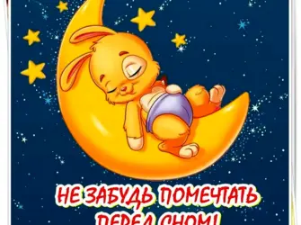 Прикольные пожелания спокойной ночи. Прикольная открытка