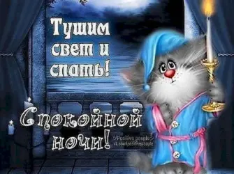 Прикольные пожелания спокойной ночи открытка