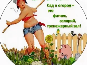 Приколы про дачу. Прикольная открытка