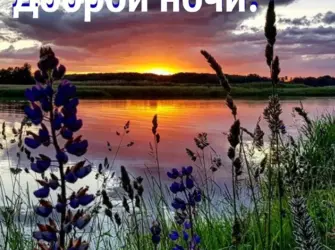 Природа вечер. Открытка с пожеланием