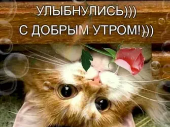 Проснулись УЛЫБНУЛИСЬ доброе утро. Открытка с пожеланием