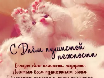 Пушистая нежность. Поздравление на праздник