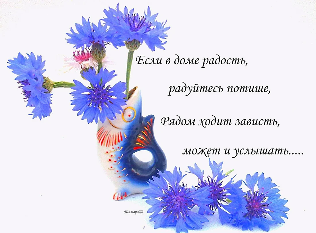 Пусть счастье и радость всегда будут рядом. Открытка с поздравлением