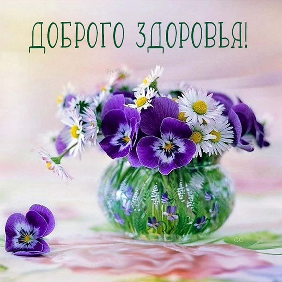 Ромашки с фиалками. Открытка с поздравлением