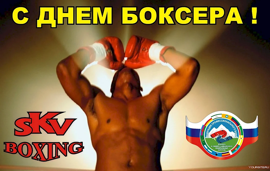 С днем бокса поздравления. Открытка с поздравлением