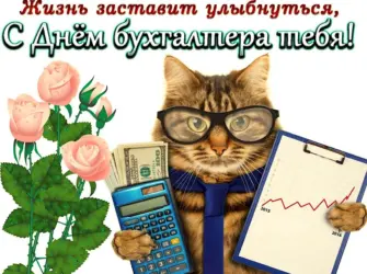 С днем бухгалтера. Открытка с поздравлением