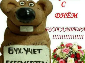 С днем бухгалтера. Прикольная открытка