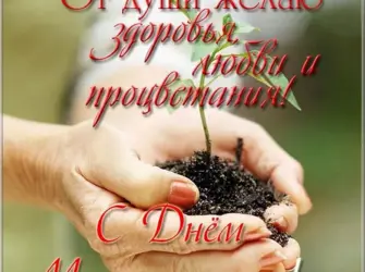 С днем мелиорации поздравления. Поздравление на праздник