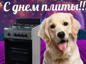 С днем плиты. Поздравление на праздник