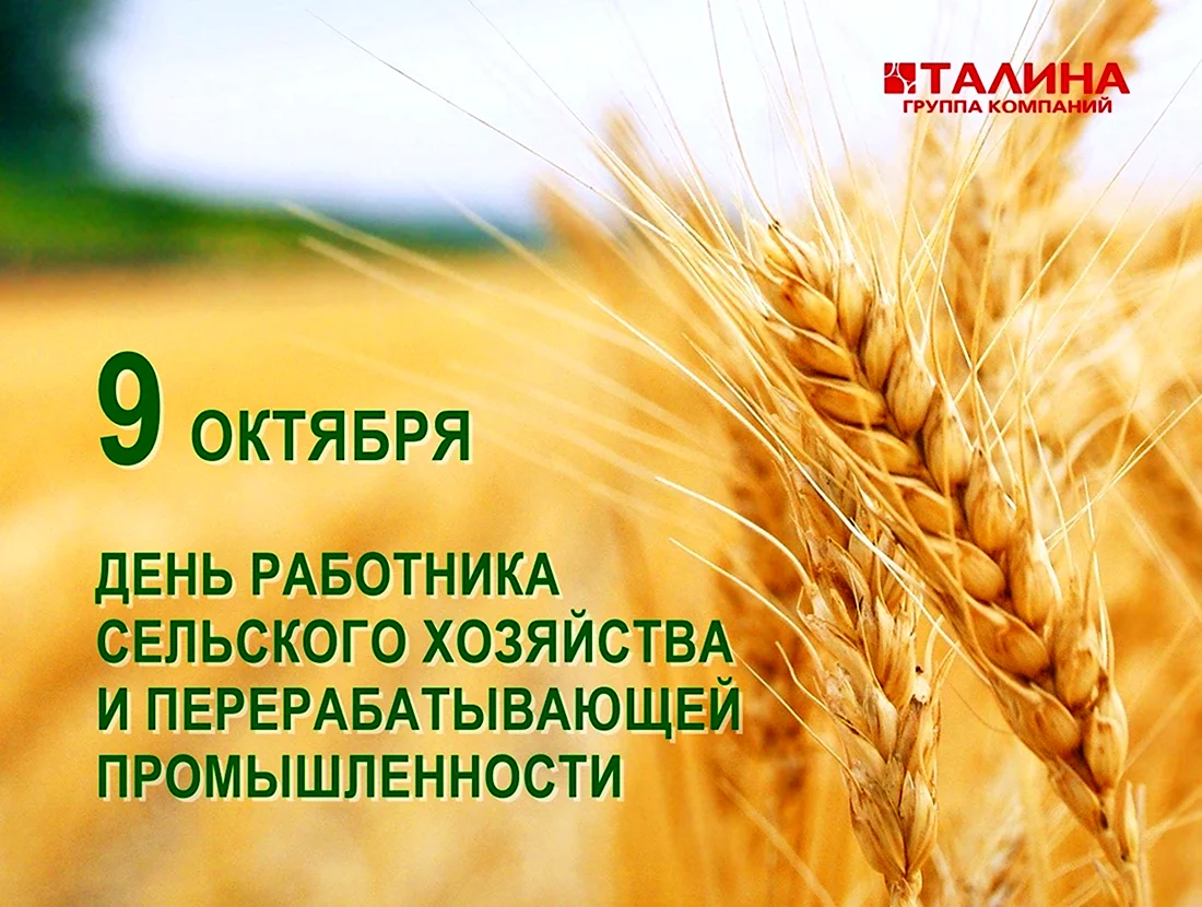 С днем работника сельского хозяйства. Открытка с поздравлением