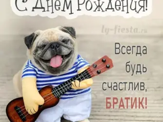 С днём рождения брату. Открытка с поздравлением