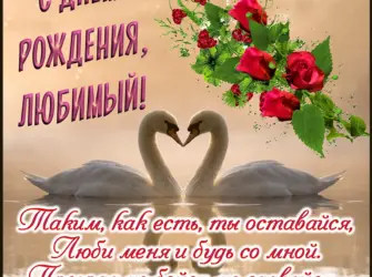 С днём рождения любимый. Открытка с поздравлением