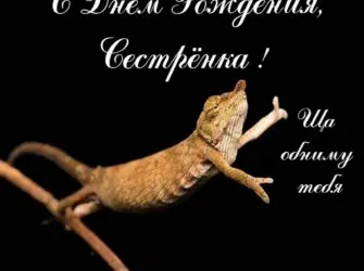 С днём рождения подруге прикольные. Открытка с поздравлением
