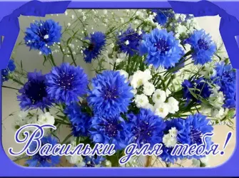 С днем рождения васильки открытка
