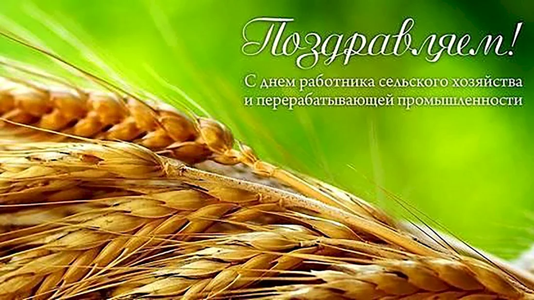 С днем сельхозработника. Открытка с поздравлением