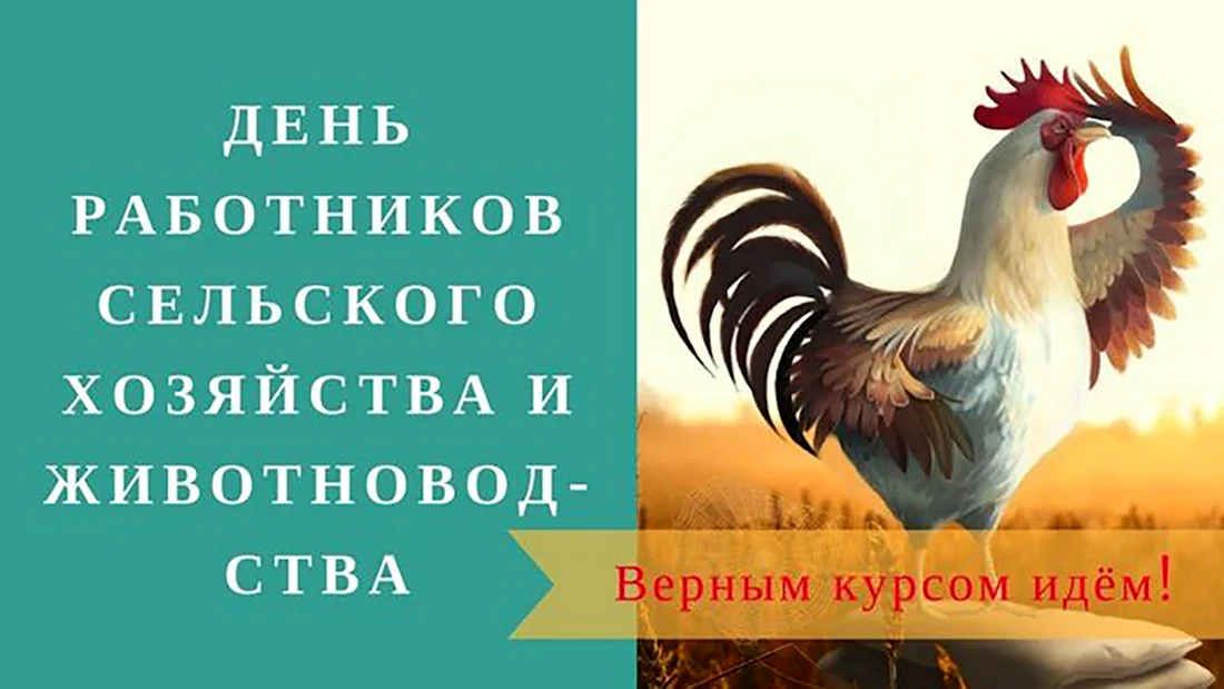 С днем сельского хозяйства птицеводов. Открытка с поздравлением